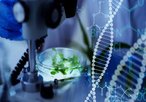 Genome Editing with CRISPR/Cas9 System: Potential and Limitations